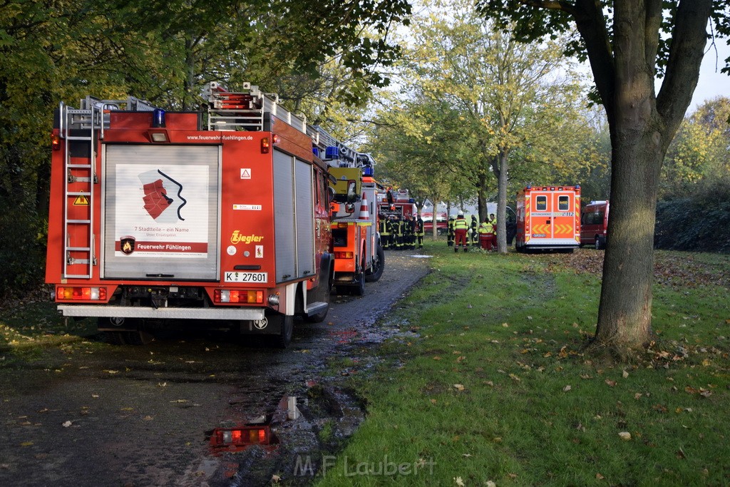Feuer 1 brannten 3 Lauben Koeln Fuehlingen Kriegerhofstr P012.JPG - Miklos Laubert